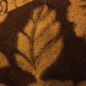 Meet your Posher, Tenzin